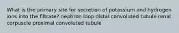 What is the primary site for secretion of potassium and hydrogen ions into the filtrate? nephron loop distal convoluted tubule renal corpuscle proximal convoluted tubule