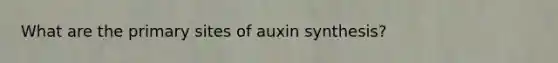 What are the primary sites of auxin synthesis?