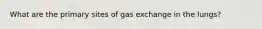 What are the primary sites of gas exchange in the lungs?