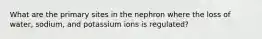 What are the primary sites in the nephron where the loss of water, sodium, and potassium ions is regulated?