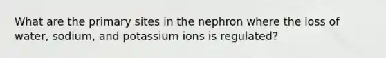 What are the primary sites in the nephron where the loss of water, sodium, and potassium ions is regulated?