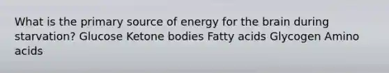 What is the primary source of energy for the brain during starvation? Glucose Ketone bodies Fatty acids Glycogen Amino acids