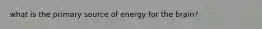 what is the primary source of energy for the brain?