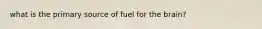 what is the primary source of fuel for the brain?