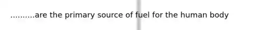 ..........are the primary source of fuel for the human body