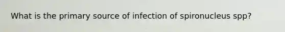 What is the primary source of infection of spironucleus spp?