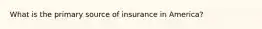 What is the primary source of insurance in America?