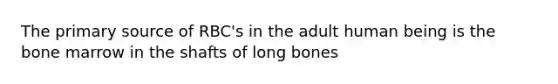 The primary source of RBC's in the adult human being is the bone marrow in the shafts of long bones