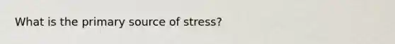 What is the primary source of stress?