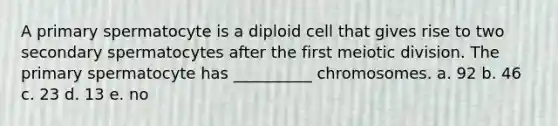 A primary spermatocyte is a diploid cell that gives rise to two secondary spermatocytes after the first meiotic division. The primary spermatocyte has __________ chromosomes. a. 92 b. 46 c. 23 d. 13 e. no