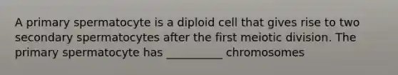 A primary spermatocyte is a diploid cell that gives rise to two secondary spermatocytes after the first meiotic division. The primary spermatocyte has __________ chromosomes