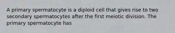 A primary spermatocyte is a diploid cell that gives rise to two secondary spermatocytes after the first meiotic division. The primary spermatocyte has