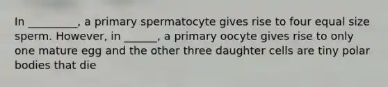 In _________, a primary spermatocyte gives rise to four equal size sperm. However, in ______, a primary oocyte gives rise to only one mature egg and the other three daughter cells are tiny polar bodies that die