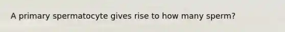 A primary spermatocyte gives rise to how many sperm?