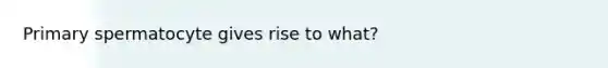 Primary spermatocyte gives rise to what?