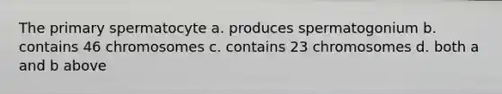 The primary spermatocyte a. produces spermatogonium b. contains 46 chromosomes c. contains 23 chromosomes d. both a and b above