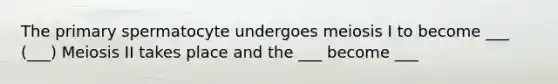 The primary spermatocyte undergoes meiosis I to become ___ (___) Meiosis II takes place and the ___ become ___