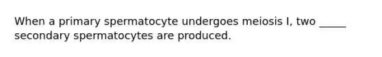 When a primary spermatocyte undergoes meiosis I, two _____ secondary spermatocytes are produced.