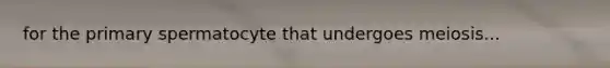 for the primary spermatocyte that undergoes meiosis...