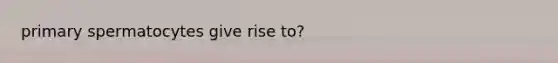 primary spermatocytes give rise to?