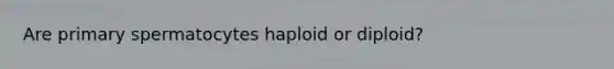 Are primary spermatocytes haploid or diploid?