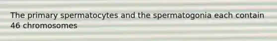 The primary spermatocytes and the spermatogonia each contain 46 chromosomes