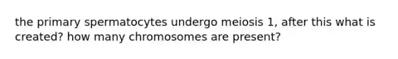 the primary spermatocytes undergo meiosis 1, after this what is created? how many chromosomes are present?