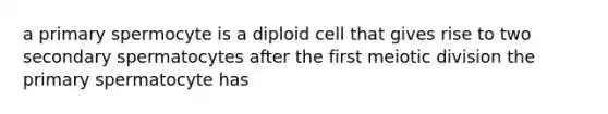 a primary spermocyte is a diploid cell that gives rise to two secondary spermatocytes after the first meiotic division the primary spermatocyte has