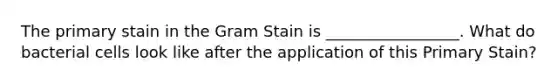 The primary stain in the Gram Stain is _________________. What do bacterial cells look like after the application of this Primary Stain?