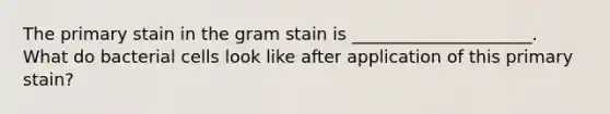 The primary stain in the gram stain is _____________________. What do bacterial cells look like after application of this primary stain?