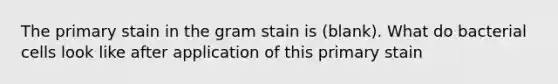 The primary stain in the gram stain is (blank). What do bacterial cells look like after application of this primary stain