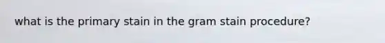 what is the primary stain in the gram stain procedure?