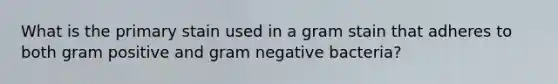 What is the primary stain used in a gram stain that adheres to both gram positive and gram negative bacteria?