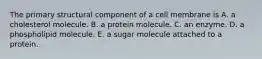 The primary structural component of a cell membrane is A. a cholesterol molecule. B. a protein molecule. C. an enzyme. D. a phospholipid molecule. E. a sugar molecule attached to a protein.