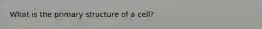 What is the primary structure of a cell?