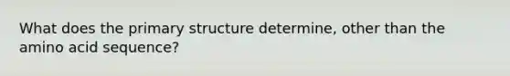 What does the primary structure determine, other than the amino acid sequence?