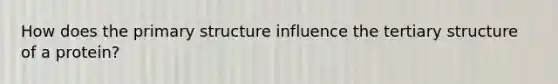 How does the primary structure influence the tertiary structure of a protein?