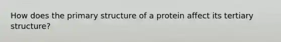 How does the primary structure of a protein affect its tertiary structure?