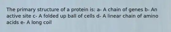 The primary structure of a protein is: a- A chain of genes b- An active site c- A folded up ball of cells d- A linear chain of amino acids e- A long coil