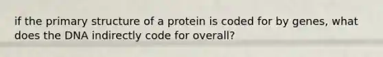 if the primary structure of a protein is coded for by genes, what does the DNA indirectly code for overall?