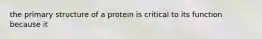 the primary structure of a protein is critical to its function because it