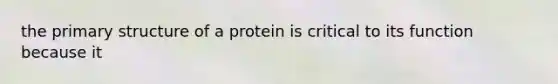 the primary structure of a protein is critical to its function because it