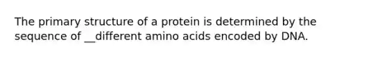 The primary structure of a protein is determined by the sequence of __different amino acids encoded by DNA.