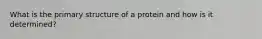 What is the primary structure of a protein and how is it determined?