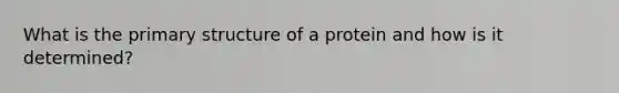 What is the primary structure of a protein and how is it determined?