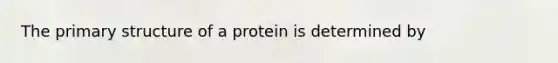 The <a href='https://www.questionai.com/knowledge/knHR7ecP3u-primary-structure' class='anchor-knowledge'>primary structure</a> of a protein is determined by