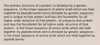 The primary structure of a protein -is dictated by a genetic sequence. -is the linear sequence of amino acids which are held together by peptide bonds and is dictated by genetic sequence and is unique to that protein and lays the foundation for all higher order structure of that protein. -is unique to that protein and lays the foundation for all higher order structure of that protein. -is the linear sequence of amino acids which are held together by peptide bonds and is dictated by genetic sequence. -is the linear sequence of amino acids which are held together by peptide bonds.