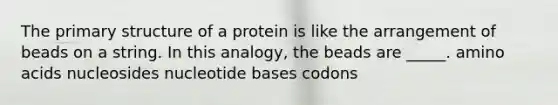 The primary structure of a protein is like the arrangement of beads on a string. In this analogy, the beads are _____. amino acids nucleosides nucleotide bases codons