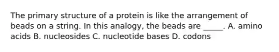 The primary structure of a protein is like the arrangement of beads on a string. In this analogy, the beads are _____. A. amino acids B. nucleosides C. nucleotide bases D. codons