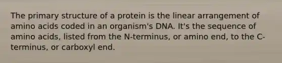 The primary structure of a protein is the linear arrangement of amino acids coded in an organism's DNA. It's the sequence of amino acids, listed from the N-terminus, or amino end, to the C-terminus, or carboxyl end.